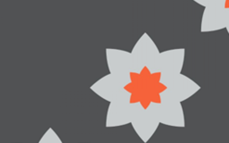 Stylised daffodil in Audit Wales corporate colours of white and orange on a grey background