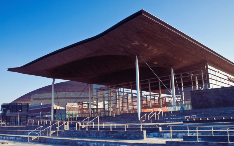 Senedd, Welsh Government