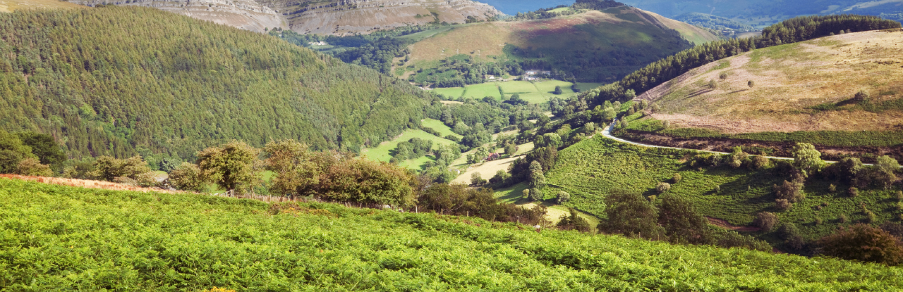 Moel Famau, Denbighshire, Wales