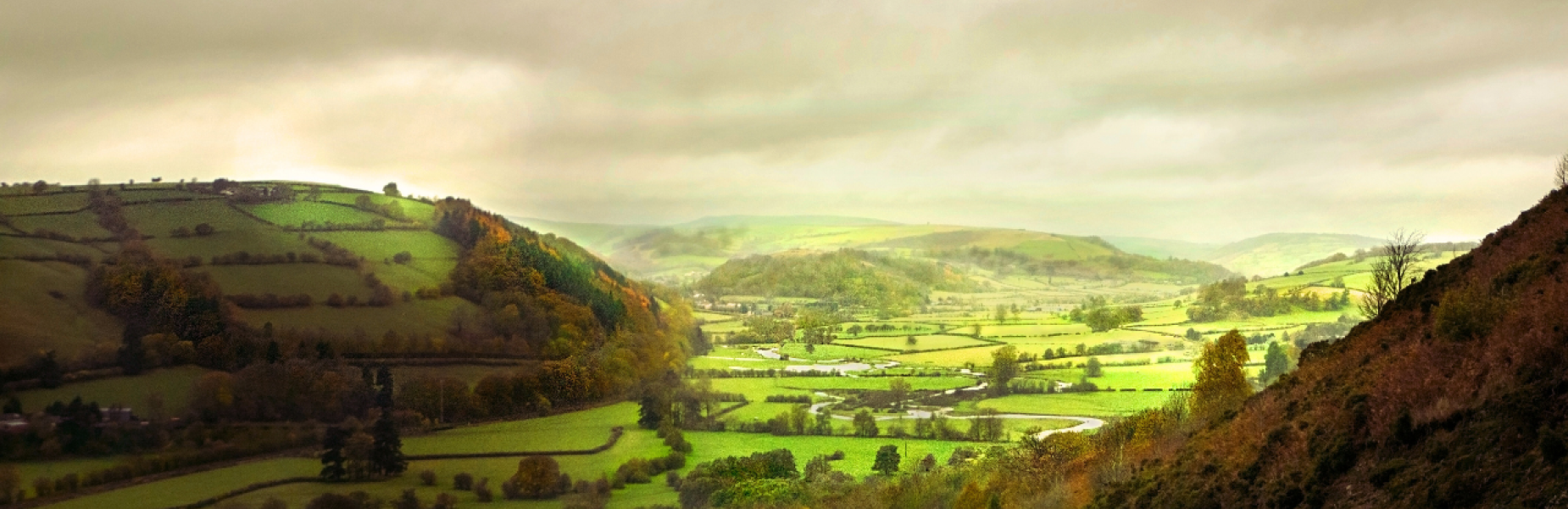 Image of Powys County