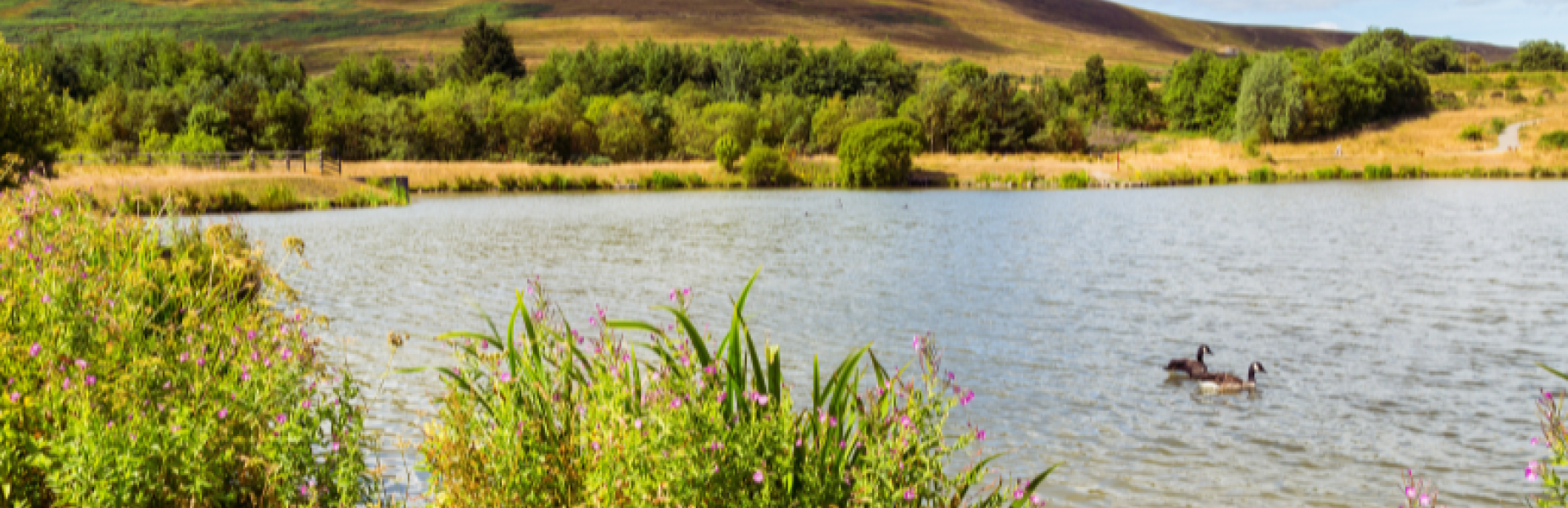 Garn Lakes, Local Nature Reserve, Blaenavon